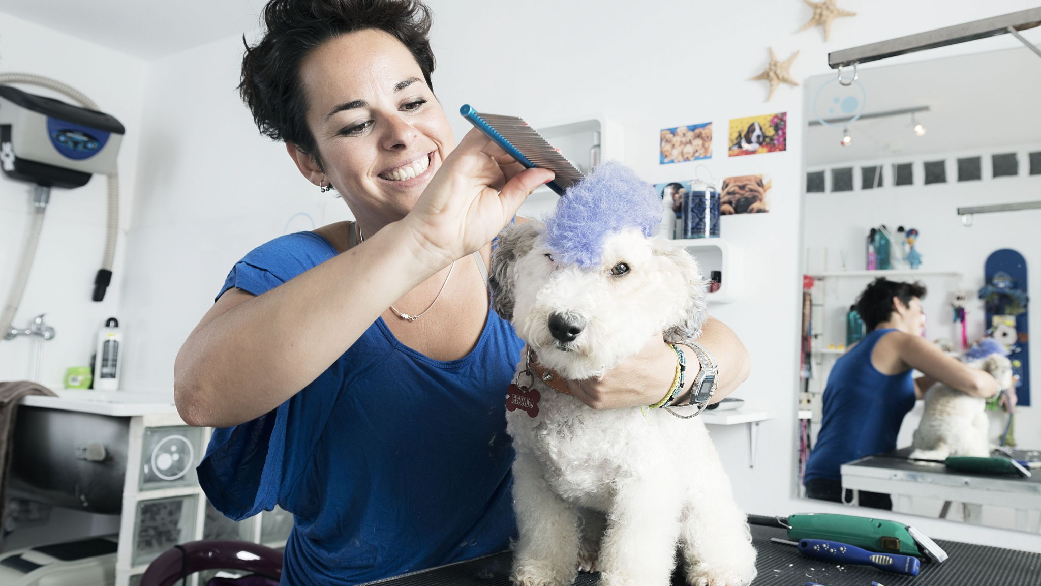 dog parlor