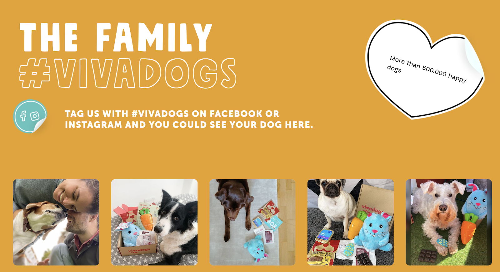 Vivadogs UGC Example