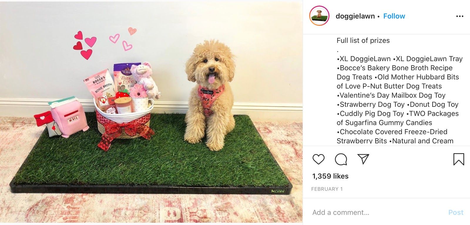doggielawn contest