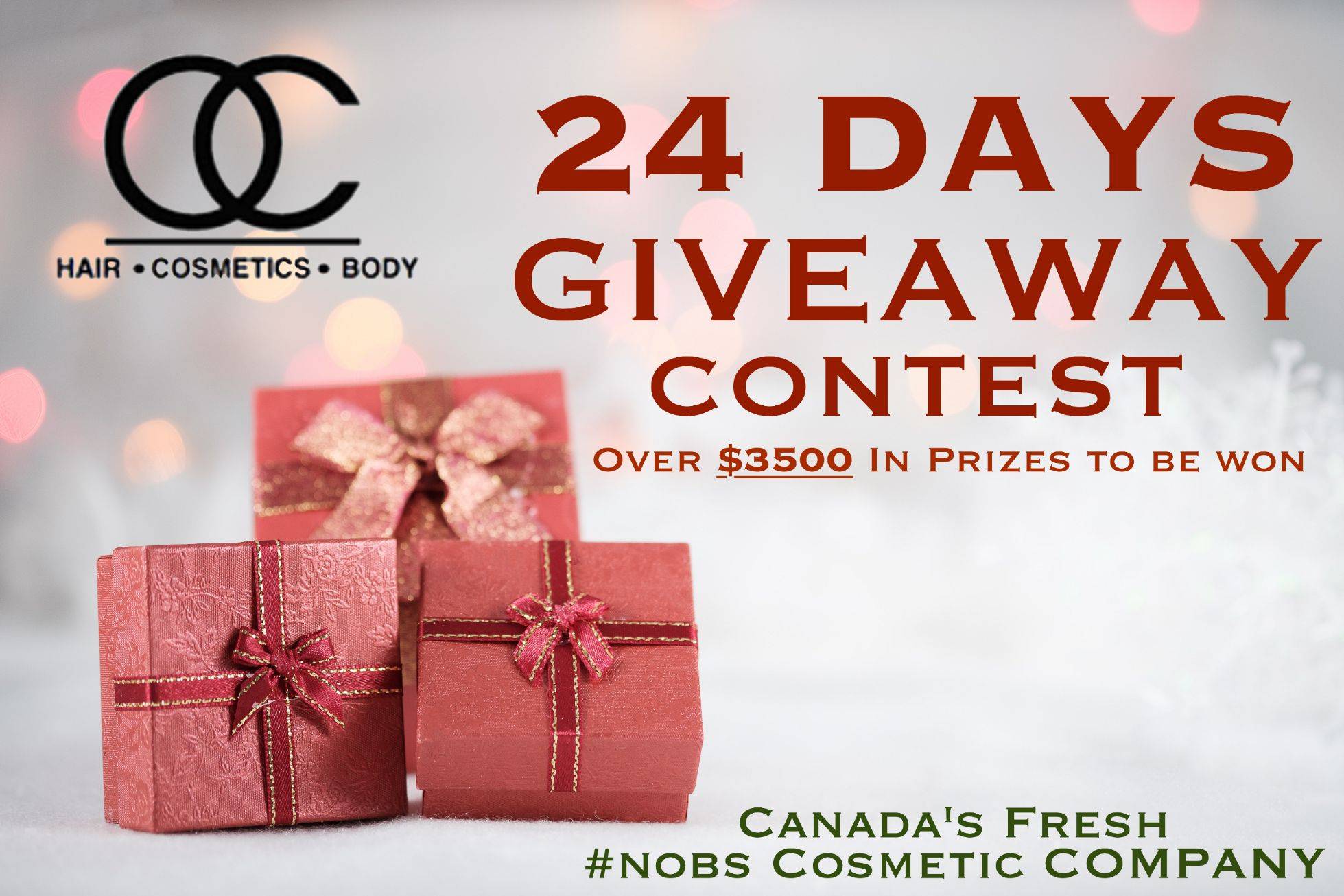 24 Days of Holiday Giveaways
