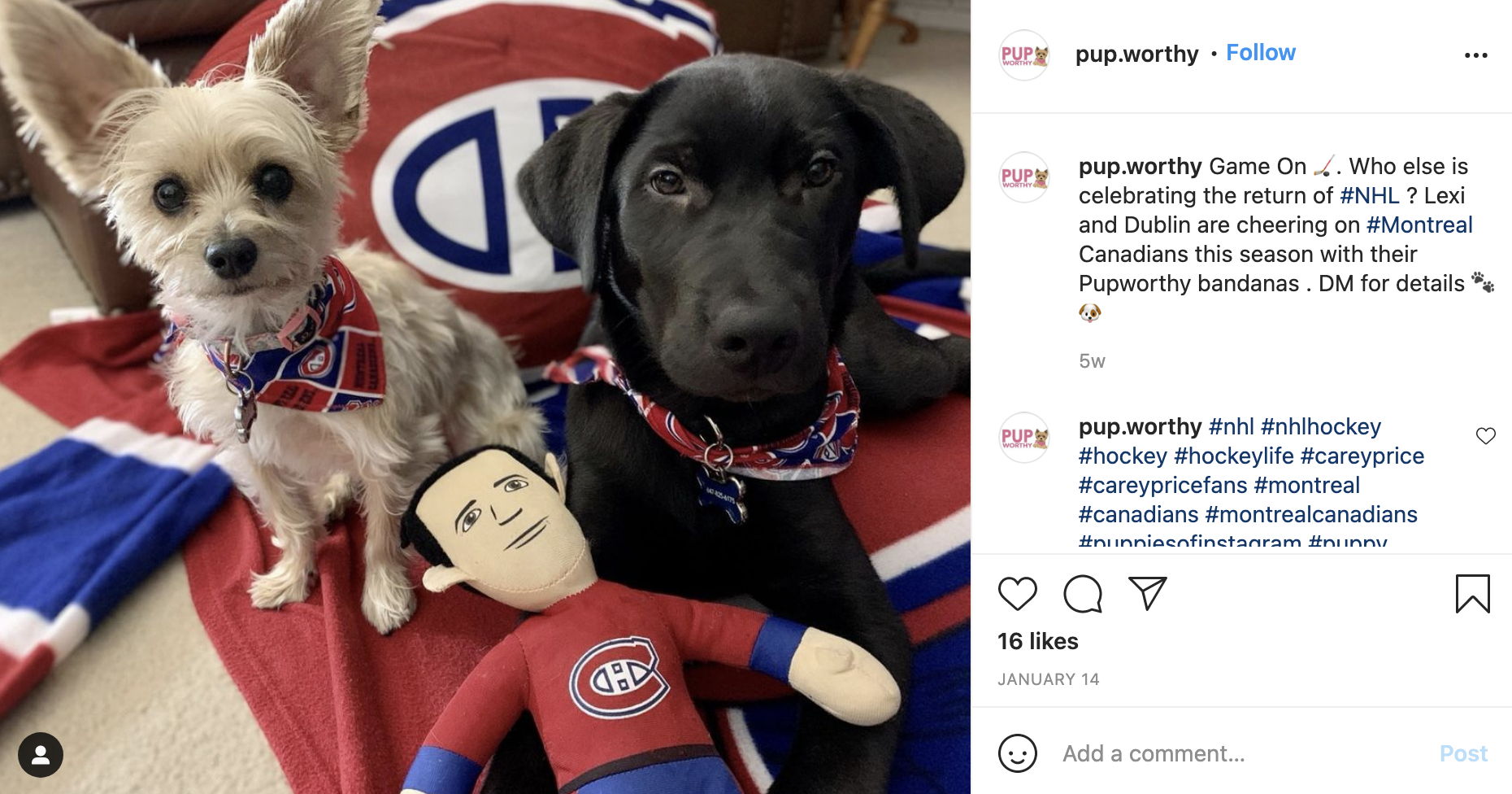 Pup Worthy Instagram post