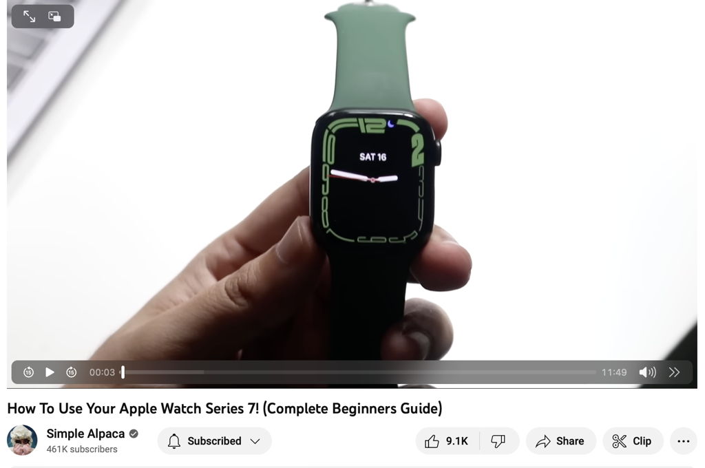 Simple Alpaca Apple Watch Guide