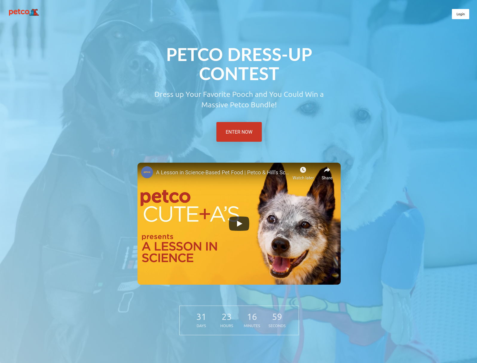 petco contest vyper header edits