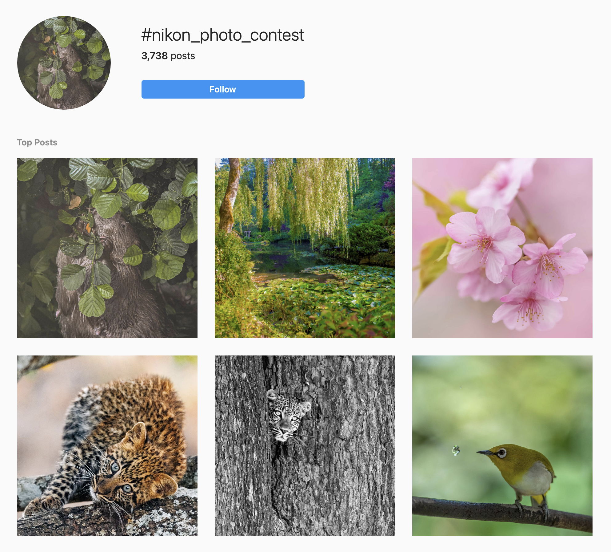 Nikon Photo Contest Hashtag Instagram